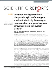 Generation of Hypoxanthine Phosphoribosyltransferase