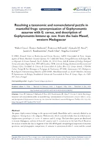 Resolving a Taxonomic and Nomenclatural Puzzle in Mantellid Frogs: Synonymization of Gephyromantis Azzurrae with G