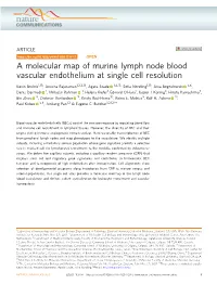 A Molecular Map of Murine Lymph Node Blood Vascular Endothelium at Single Cell Resolution