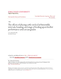 The Effects of Placing Cattle on Feed at Bimonthly Intervals, Housing, and Stage of Feeding Upon Feedlot Performance and Carcass Grades " (1986)