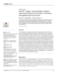 Dop1r1, a Type 1 Dopaminergic Receptor Expressed in Mushroom Bodies, Modulates Drosophila Larval Locomotion