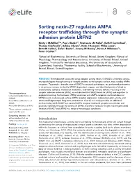 Sorting Nexin-27 Regulates AMPA Receptor Trafficking Through The