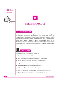 16 Pneumococcus