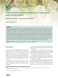 Complex Sporoderm Structure in Bryophyte Spores: a Palynological Study of Erpodiaceae Broth