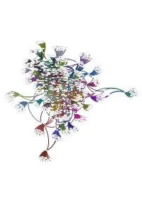 All Countries Visualization.Pdf