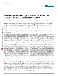 Dissecting Differential Gene Expression Within the Circadian Neuronal Circuit of Drosophila