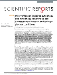 Involvement of Impaired Autophagy and Mitophagy in Neuro-2A Cell