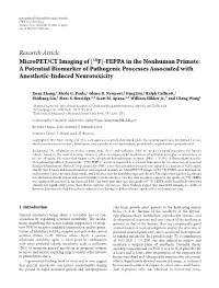 Micropet/CT Imaging of [18F]-FEPPA in the Nonhuman Primate: a Potential Biomarker of Pathogenic Processes Associated with Anesthetic-Induced Neurotoxicity