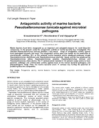Antagonistic Activity of Marine Bacteria Pseudoalteromonas Tunicata Against Microbial Pathogens