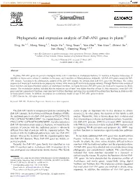 Phylogenetic and Expression Analysis of Znf-AN1 Genes in Plants☆