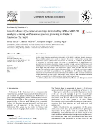 Genetic Diversity and Relationships Detected by ISSR and RAPD