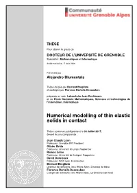 Numerical Modelling of Thin Elastic Solids in Contact