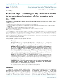 Reduction of Pl-CSA Through Chsy-2 Knockout Inhibits Tumorigenesis And