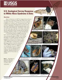 U.S. Geological Survey Response to White-Nose Syndrome in Bats