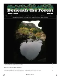 Volume 5, Issue 1 Spring 2012