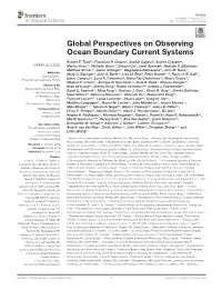Global Perspectives on Observing Ocean Boundary Current Systems