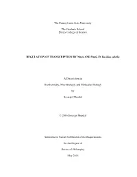 Open Smarajit Mondal Dissertation
