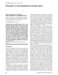Recognition of the Polyubiquitin Proteolytic Signal