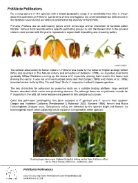 Fritillaria Pollinators for a Large Genera (>140 Species) with a Broad Geographic Range It Is Remarkable How Little Is Known About the Pollinators of Fritillaria