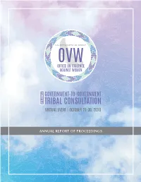 20DOJ-OVW Summary Report