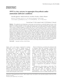 ASN2 Is a Key Enzyme in Asparagine Biosynthesis Under Ammonium Sufﬁcient Conditions