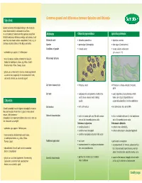 Common Ground and Differences Between Spirulina and Chlorella Spirulina