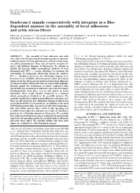 Syndecan-4 Signals Cooperatively with Integrins in a Rho- Dependent Manner in the Assembly of Focal Adhesions and Actin Stress Fibers