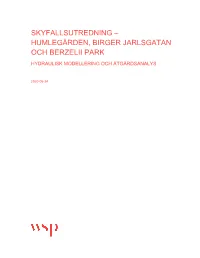 Wsps Rapport