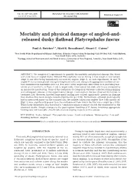 Mortality and Physical Damage of Angled-And-Released Dusky