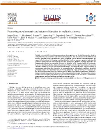 Promoting Myelin Repair and Return of Function in Multiple Sclerosis