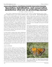 Speciation, Hybridization, and Conservation Quanderies: What Are We Protecting Anyway? J