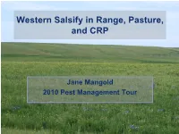 Western Salsify in Range, Pasture, and CRP