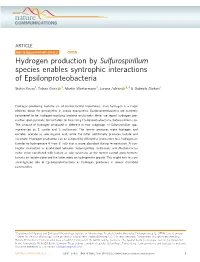 Hydrogen Production by Sulfurospirillum Species Enables Syntrophic Interactions of Epsilonproteobacteria