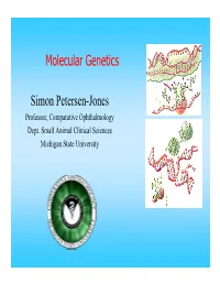 Molecular Genetics Simon Petersen-Jones
