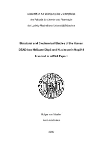 Structural and Biochemical Studies of the Human DEAD-Box Helicase Dbp5 and Nucleoporin Nup214 Involved in Mrna Export‟ (Grade: 1.0) Since Sep