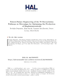 Toward Future Engineering of the N
