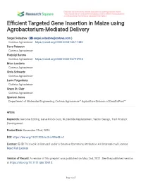 E Cient Targeted Gene Insertion in Maize Using Agrobacterium