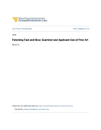 Patenting Fast and Slow: Examiner and Applicant Use of Prior Art