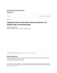 Population Genetics of Rice Rats (Oryzomys Palustris) at the Northern Edge of the Species Range
