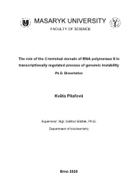 Structural and Functional Analysis of the Cdk13/Cyclin K Complex
