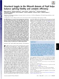 Structural Toggle in the Rnaseh Domain of Prp8 Helps Balance Splicing Fidelity and Catalytic Efficiency