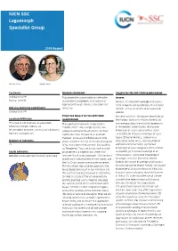 2019 LSG Report