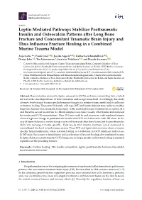 Leptin Mediated Pathways Stabilize Posttraumatic Insulin And