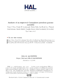 Analysis of an Improved Cyanophora Paradoxa Genome Assembly