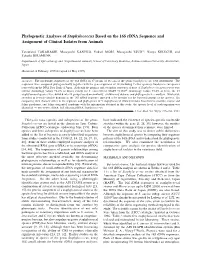 Phylogenetic Analyses of Staphylococcus Based on the 16S Rdna Sequence and Assignment of Clinical Isolates from Animals