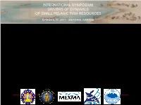 Catch Dynamics of Small Pelagic Fishes at Bali Strait & South Java