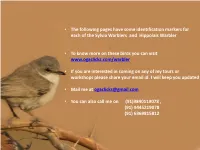 • the Following Pages Have Some Identification Markers for Each of the Sylvia Warblers and Hippolais Warbler