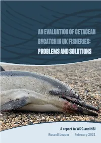 An Evaluation of Cetacean Bycatch in UK Fisheries: Problems and Solutions