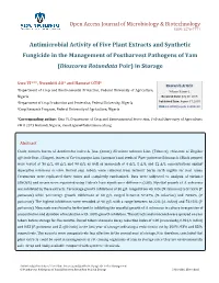 Antimicrobial Activity of Five Plant Extracts and Synthetic Fungicide in the Management of Postharvest Pathogens of Yam (Dioscorea Rotundata Poir) in Storage