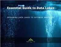 Essential Guide to Data Lakes